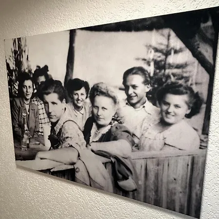 Alexanders Mountain Loft * 巴特法伊尔恩巴赫