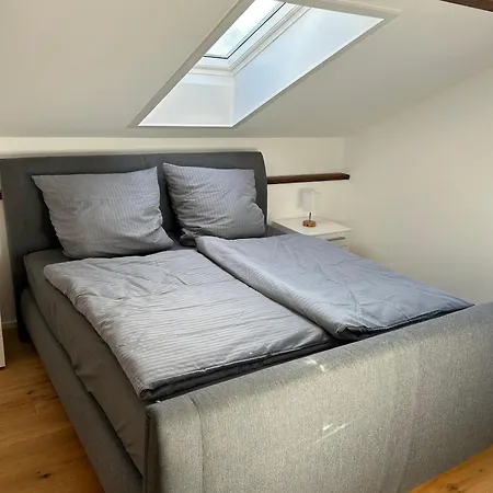 Alexanders Mountain Loft 公寓 巴特法伊尔恩巴赫