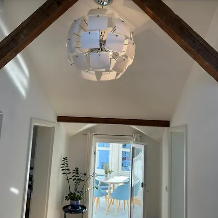 Alexanders Mountain Loft 公寓 巴特法伊尔恩巴赫